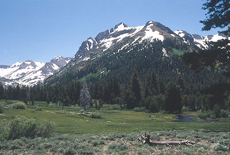Kennedy Peak and Creek - Emigrant Wilderness 1995