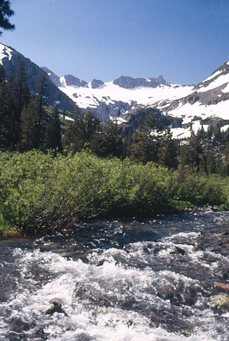 Soda Canyon Creek - Emigrant Wilderness 1995