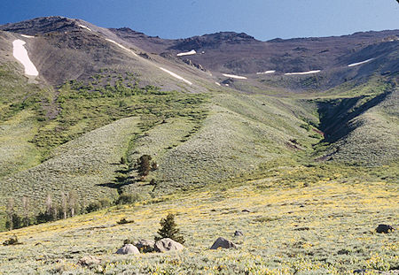 Leavitt Peak (Gil Beilke's route) - Emigrant Wilderness 1995