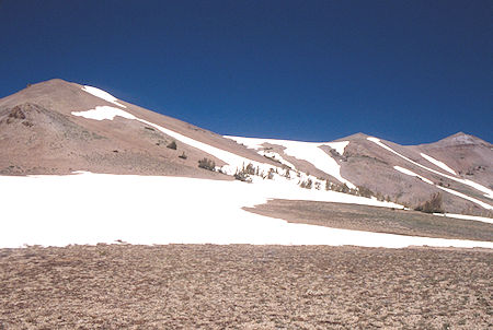 Looking toward route over ridge to Leavitt Lake - Emigrant Wilderness 1995