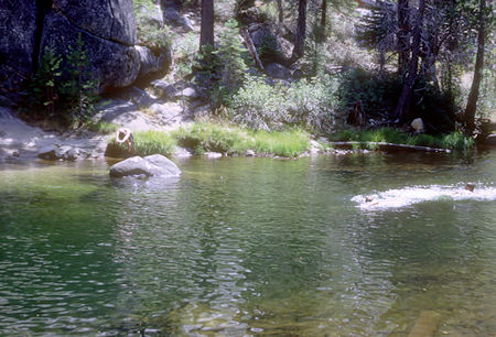 Swimming in Merced River at Little Yosemite Valley - John Muir Trail - Yosemite National Park - 21 Aug 1966