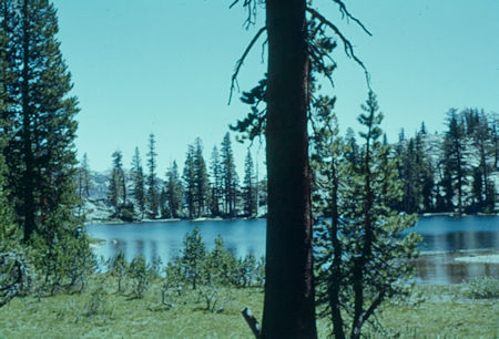 Gladys Lake - Ansel Adams Wilderness - Aug 1959