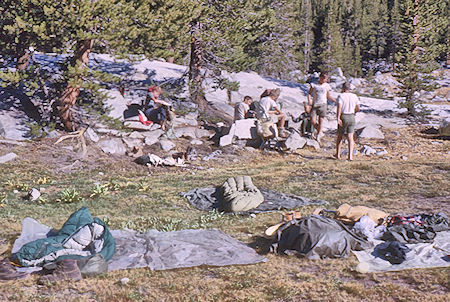 Morning camp at Hutchinson Meadow - John Muir Wilderness 17 Aug 1962
