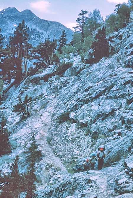 Looking back from climb up Piute Canyon - John Muir Wilderness 16 Aug 1962