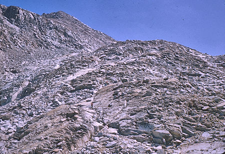 The route up Peak 13231 - Kings Canyon National Park 25 Aug 1964