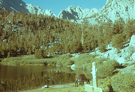 Gilbert Lake - Kearsarge Pass Trail 28 Aug 1960