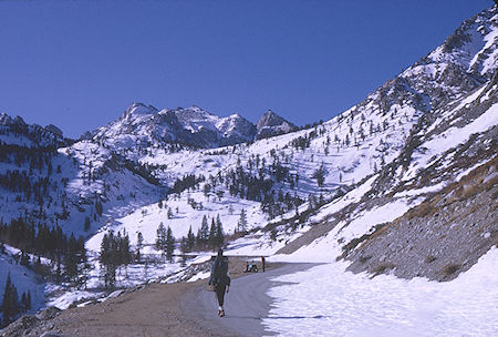 On the Onion Valley Road - Kearsarge Pass 1967