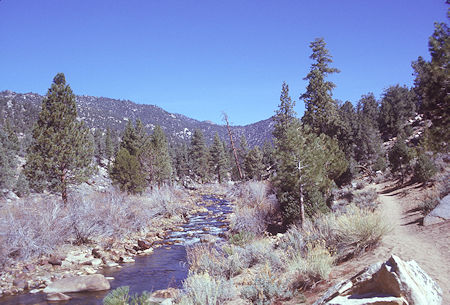 South Fork Kern River above Kennedy Meadow