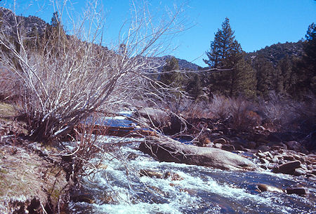 'Ford' two miles above Kennedy Meadow on South Fork Kern River