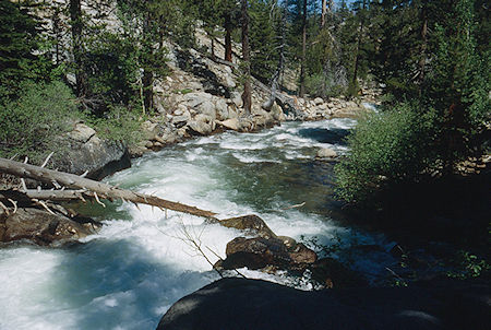 Walker River at '75 tree' camp - Hoover Wilderness 1991