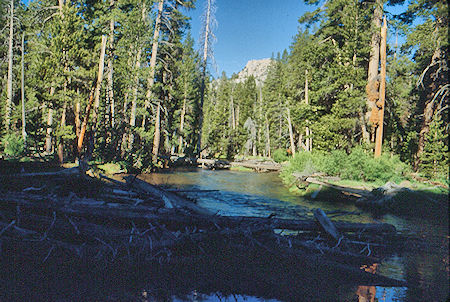Walker River above Fremont Lake trail junction - Hoover Wilderness 1991