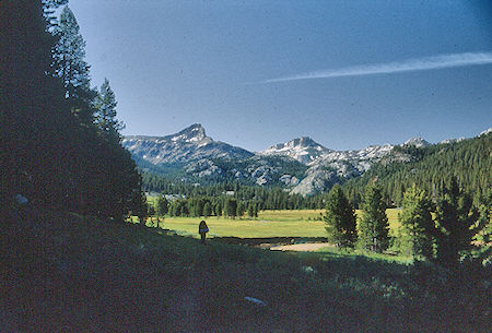 Upper Piute Meadow, Hawksbeak and Ehrnbeck Peaks - Hoover Wilderness 1992