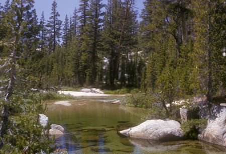 Rancheria Creek, Lower Kerrick Meadow - Yosemite National Park - 23 Aug 1965