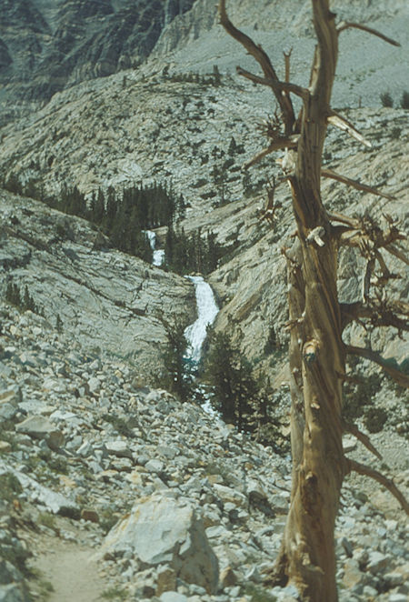 Pine Creek - 1982
