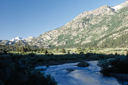 Walker River at Leavitt Meadow - Hoover Wilderness 1995