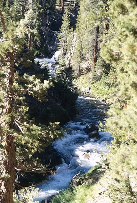 Cascade Creek - Hoover Wilderness 1995