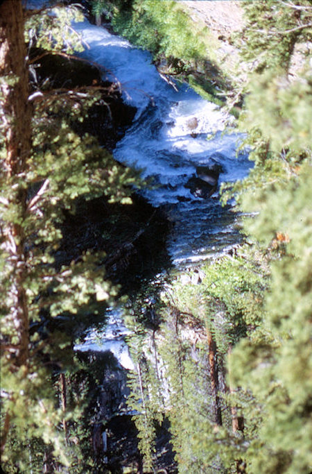 Cascade Creek - Hoover Wilderness 1995