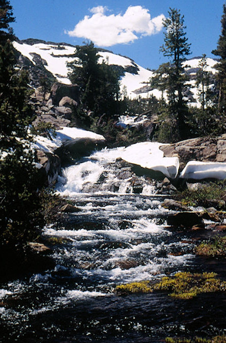 Cascade Creek below Lake Harriett - Hoover Wilderness 1995