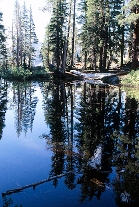 Pond on Cinko Lake trail - Hoover Wilderness 1995