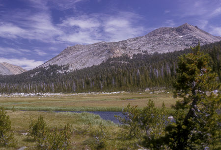 Grace Meadow, Forsyth Peak - Yosemite National Park - 25 Aug 1965