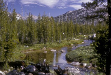 Falls Creek, Jack Main Canyon - Yosemite National Park - 25 Aug 1965