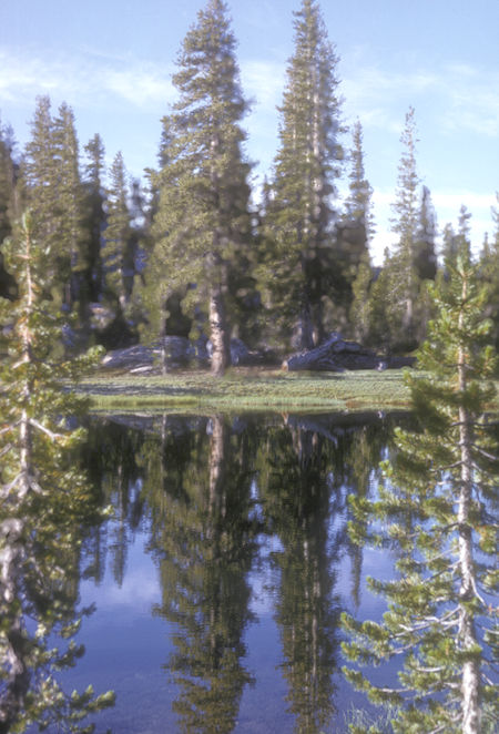 Morning reflection from camp at Tilden Lake - Yosemite National Park - 25 Aug 1965