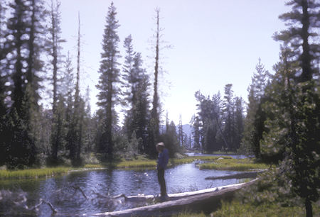 Chris Mayer fishing near camp at Tilden Lake - Yosemite National Park - 24 Aug 1965