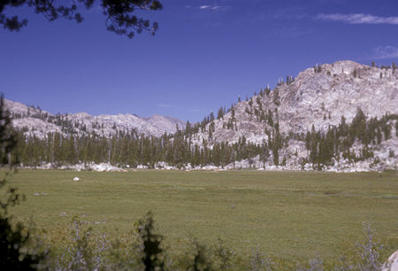 Meadow in Tilden Canyon - Yosemite National Park - 24 Aug 1965