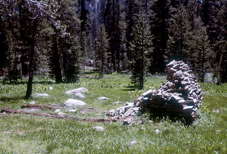 Remains of log cabin and fireplace at Turner Meadow - Yosemite National Park - Jul 1957