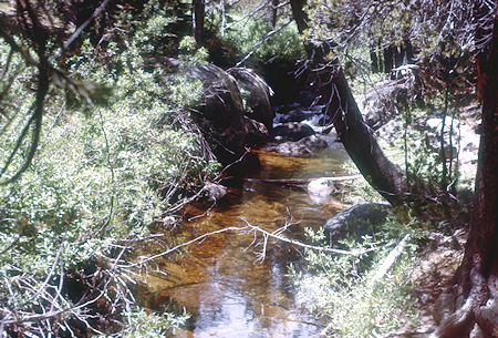 Bridalveil Creek near Ostrander Lake trail junction - Yosemite National Park - Jul 1957