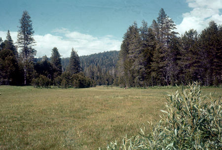 Peregoy Meadow - Yosemite National Park - Jul 1957
