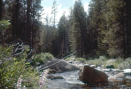 Bridalveil Creek at Pohono Trail - Yosemite National Park - Jul 1957