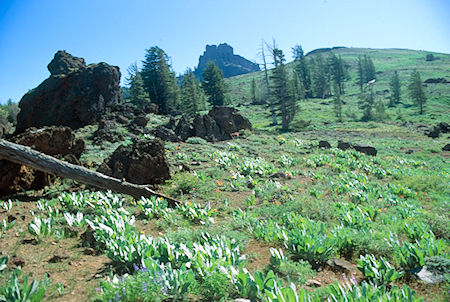 Looking east on Eagle Pass - Emigrant Wilderness 1994