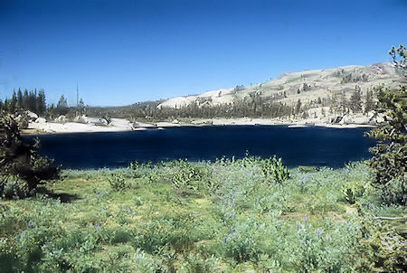 Looking east over easterly lake - Emigrant Wilderness 1994