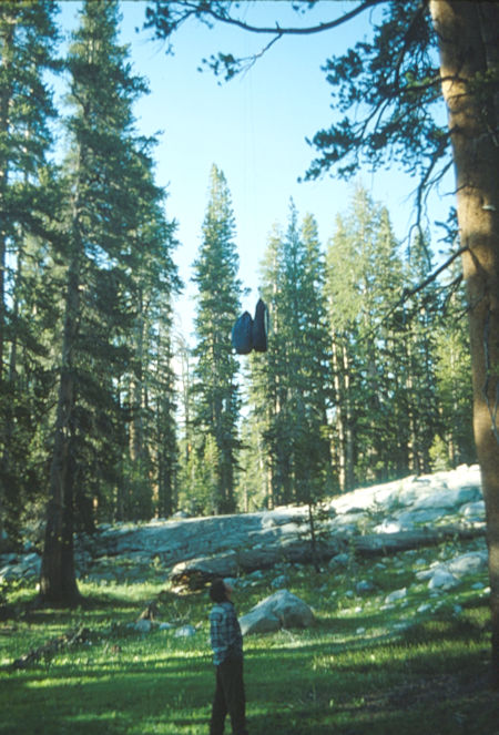 Food bear bag rig at Sadler Lake - Ansel Adams Wilderness - Aug 1980