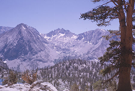 Vidette Creek from 'new' trail - Kings Canyon National Park 25 Aug 1963