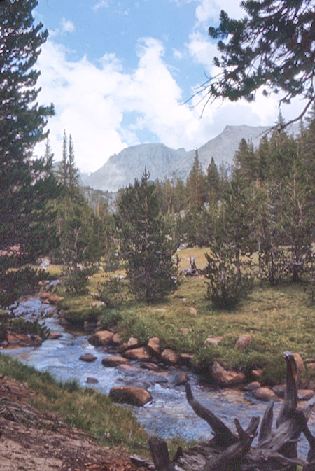 Mt. Whitney and Whitney Creek - Sequoia National Park 25 Aug 1971