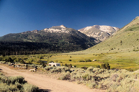 Willow Flat Meadow (Private), Burt Canyon - Hoover Wilderness 1995