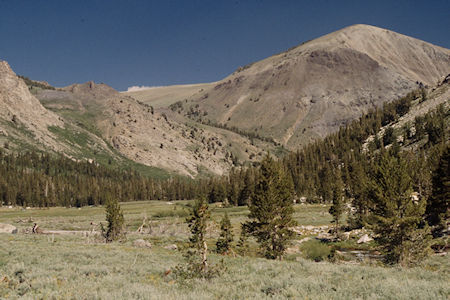 Burt Canyon looking back at Piute Canyon from upper meadow - Hoover Wilderness 1995