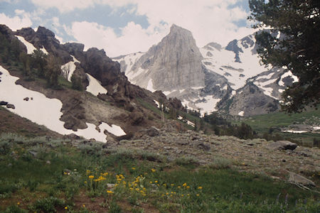 Flowers and Flatiron Butte and weird rocks on Burt Canyon side of Burt Canyon/Molybdenite Creek saddle - Hoover Wilderness 1995