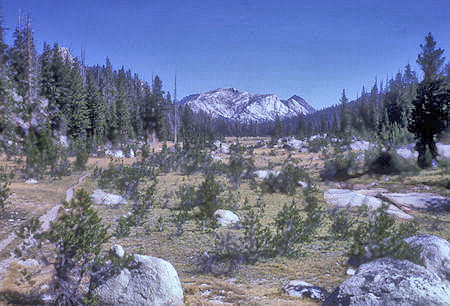 Upper meadow of Cold Canyon - Yosemite National Park - 20 Aug 1962