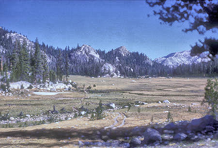 Meadow at head of Cold Canyon - Yosemite National Park - 20 Aug 1962