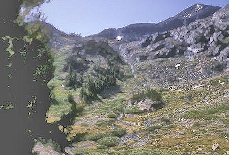 The trail to Virginia Lakes - Hoover Wilderness - 06 Sep 1964