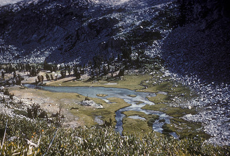 Upper Lyell Base Camp from Donahue Pass Trail - John Juir Trail - Aug 1961