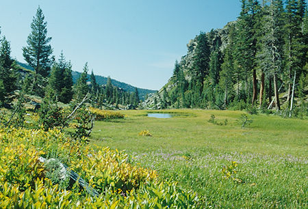 Stevenson Meadow - Ansel Adams Wilderness - Aug 1993