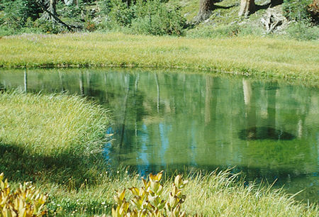 Pond at Stevenson Meadow - Ansel Adams Wilderness - Aug 1993