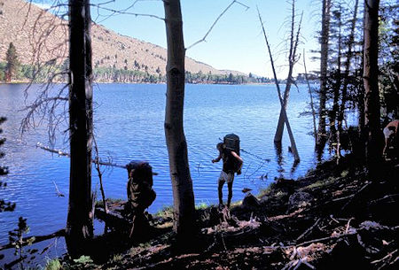 Walker Lake