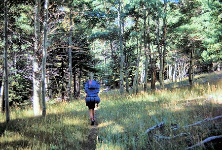 On the trail near Walker Lake