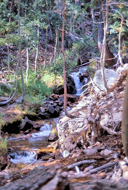 The stream in Bloody Canyon