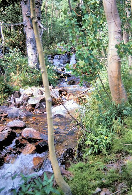 The stream in Bloody Canyon